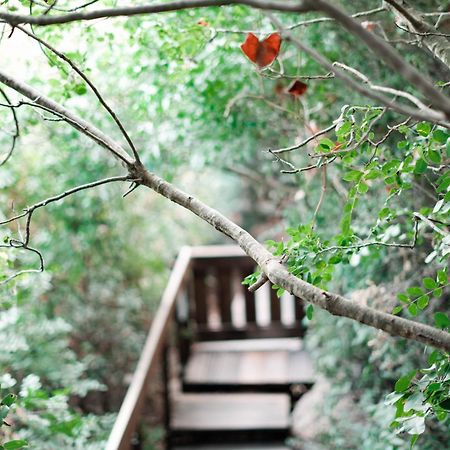 Вилла Live In The Woods Mikhmannim Экстерьер фото